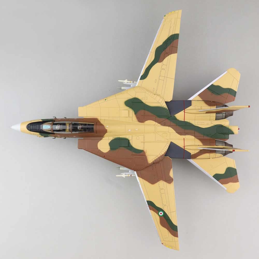 Amazon.com: Hobby Master Grumman F-14A Tomcat 3-6020, 82nd